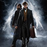 Fantastic-Beasts.jpg