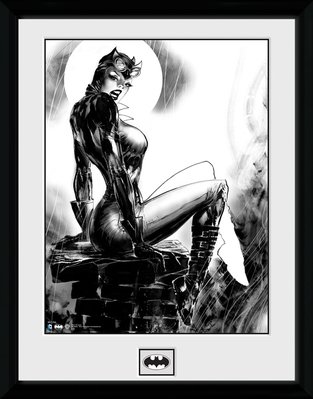 DC Comics - Cat Woman