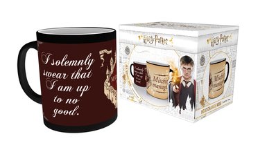 Mgh0042-harry-potter-i-solemnly-swear-product
