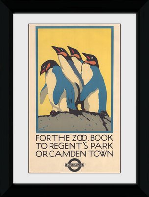 Pfp103-transport-for-london-zoo