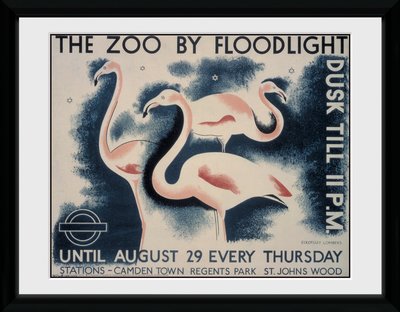 Pfc2906-transport-for-london-the-zoo-by-floodlight
