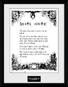 PFC1966-DEATHNOTE-deathnote.jpg
