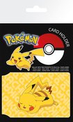 Ch0409-pokemon-resting-pikachu-mockup-2