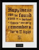 Pfc2219-harry-potter-happiness-can-be