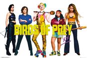 Fp4877-birds-of-prey-group