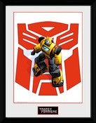 Pfc3667-transformers-bumblebee-shield