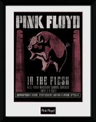 Pfc2579-pink-floyd-1977