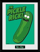 Pfc2699-rick-and-morty-pickle-rick