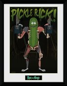 Pfc2782-rick-and-morty-rat-suit-pickle-rick