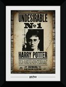 Pfp089-harry-potter-undesirable-no-1