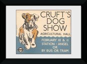 Pfp127-transport-for-london-crufts