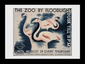 Pfi063-transport-for-london-the-zoo-by-floodlight