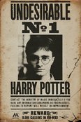 Harry Potter - Undesirable No 1