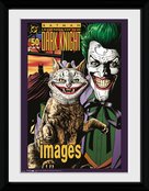 PFC1352-BATMAN-comics-joker-cat